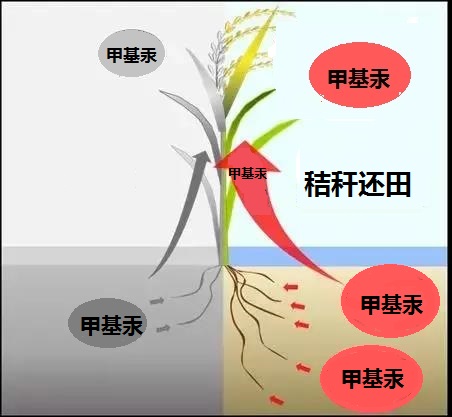 秸秆气化发电崭露头角